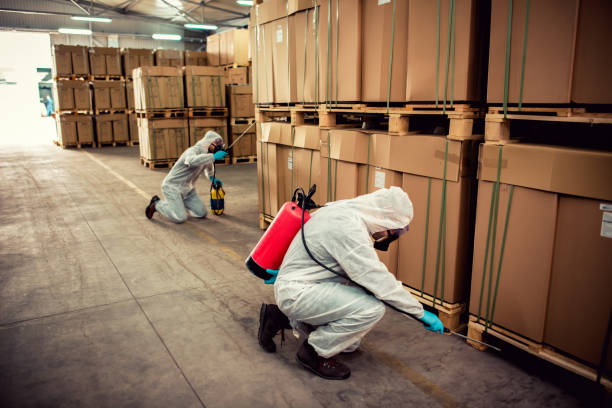 Best Emergency Pest Control  in Chatham, VA