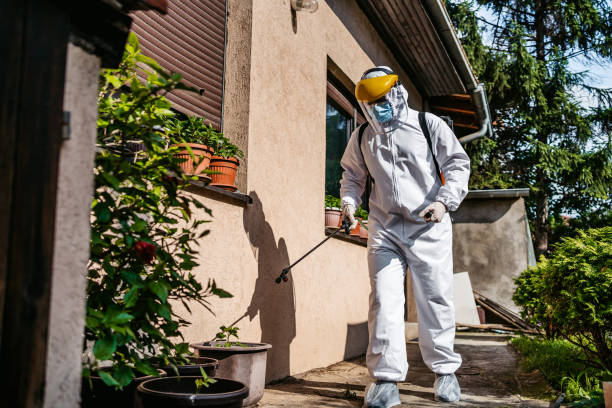 Best Affordable Pest Control Services  in Chatham, VA