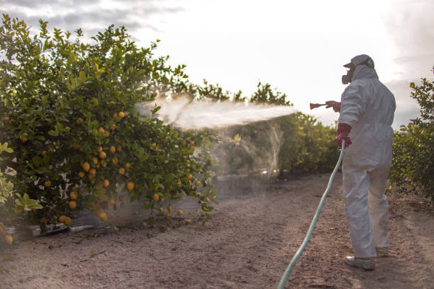 Pest Prevention Services in Chatham, VA