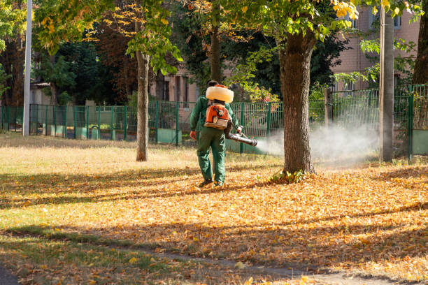 Best Cockroach Control Services  in Chatham, VA