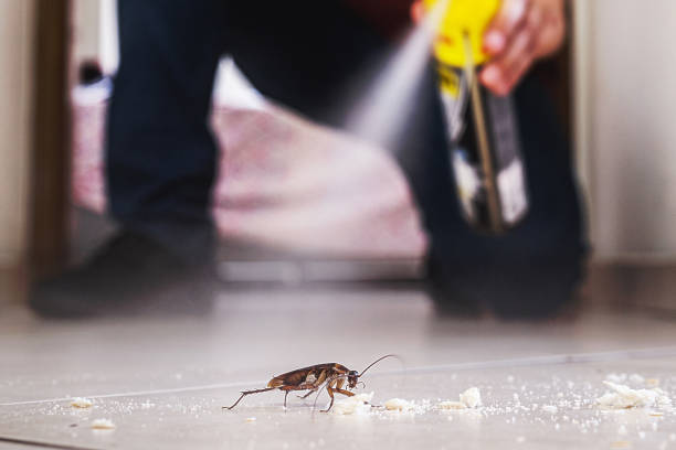 Best Pest Prevention Services  in Chatham, VA